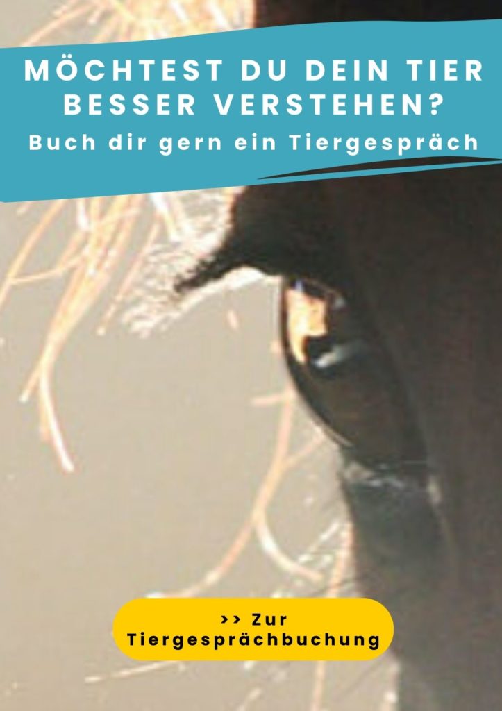 Tiergespräch